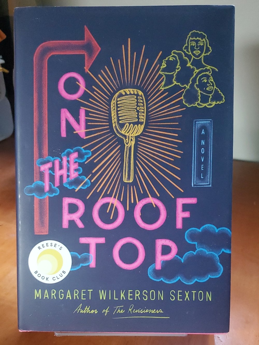 On the Roof Top by Margaret Wilkerson Sex - Navy & Pink Hardcover Novel
